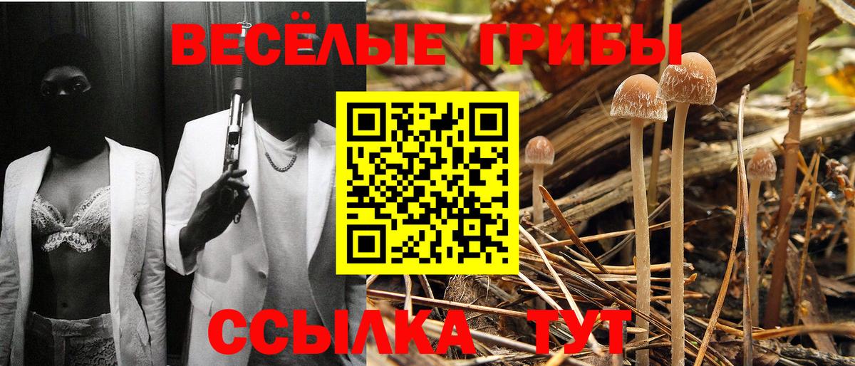 Псилоцибиновые грибы Psilocybine cubensis  Псилоцибиновые грибы Cubensis  Вход с VPN  Нижнеудинск 