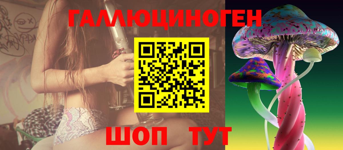 Галлюциногенные грибы Psilocybine cubensis Нижнеудинск